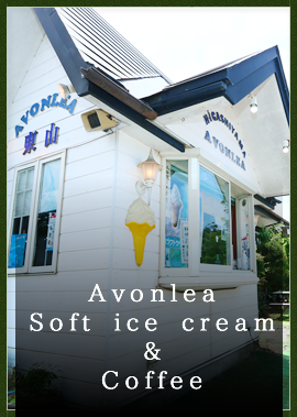 Avonlea Soft ice cream ＆ Coffee